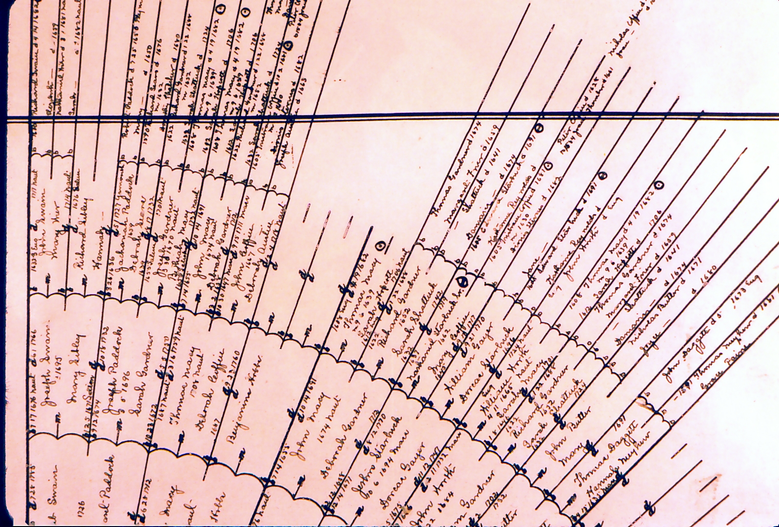 Old Family Tree — Document 5