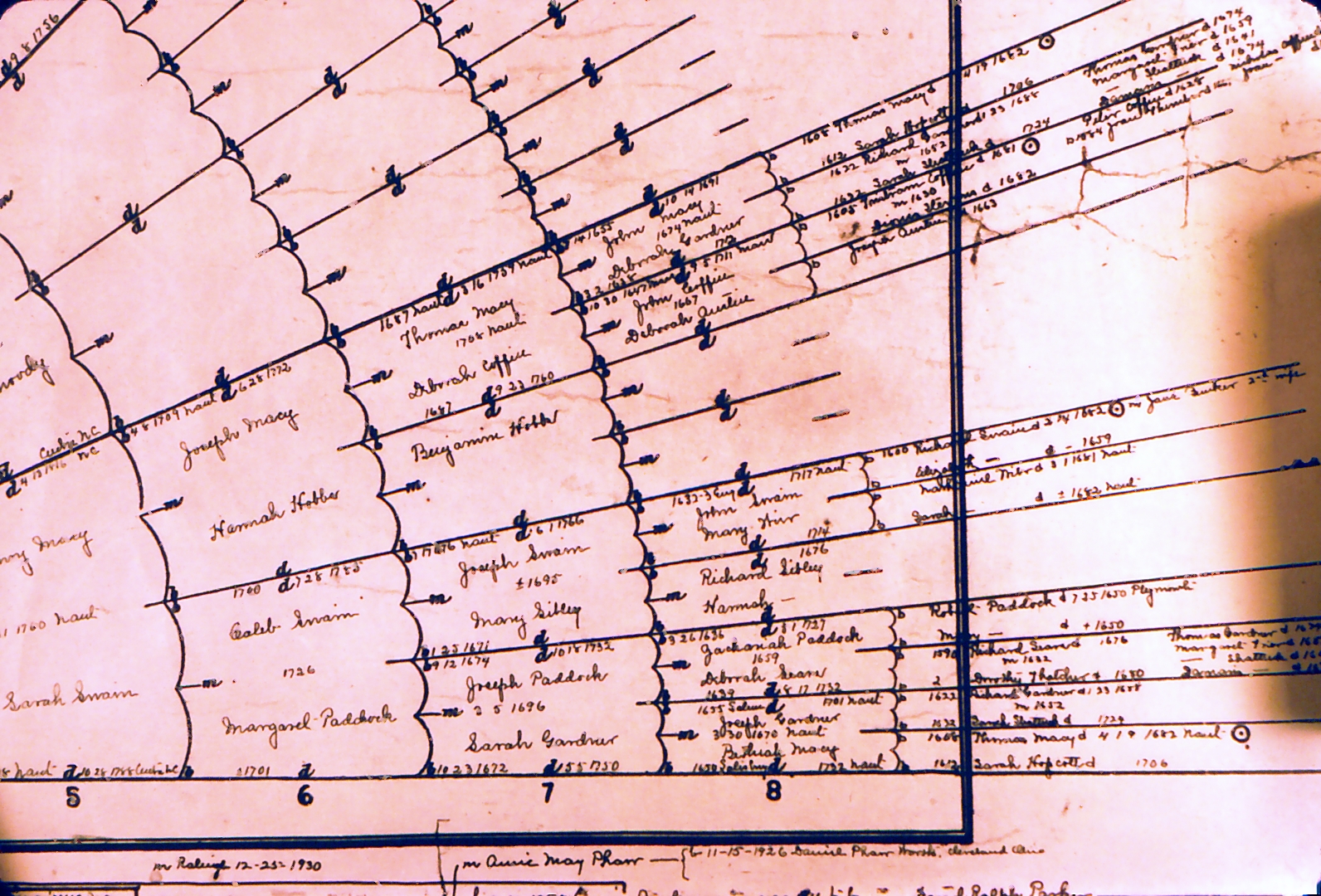 Old Family Tree — Document 6
