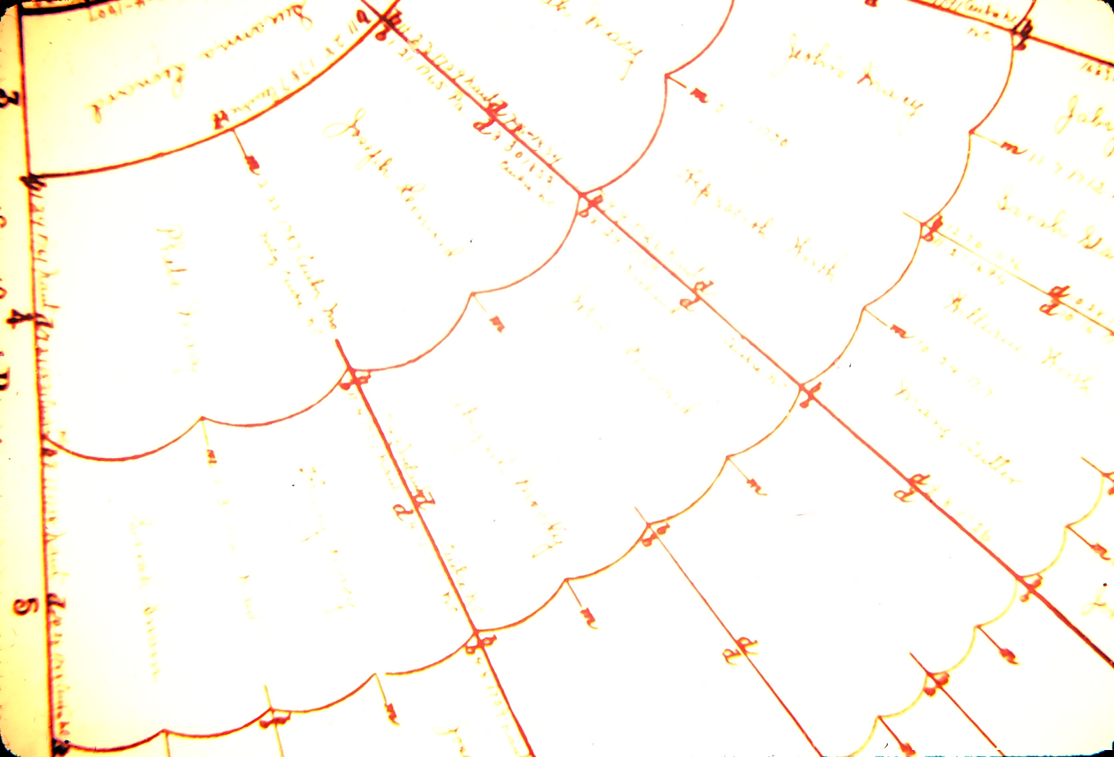 Old Family Tree — Document 7