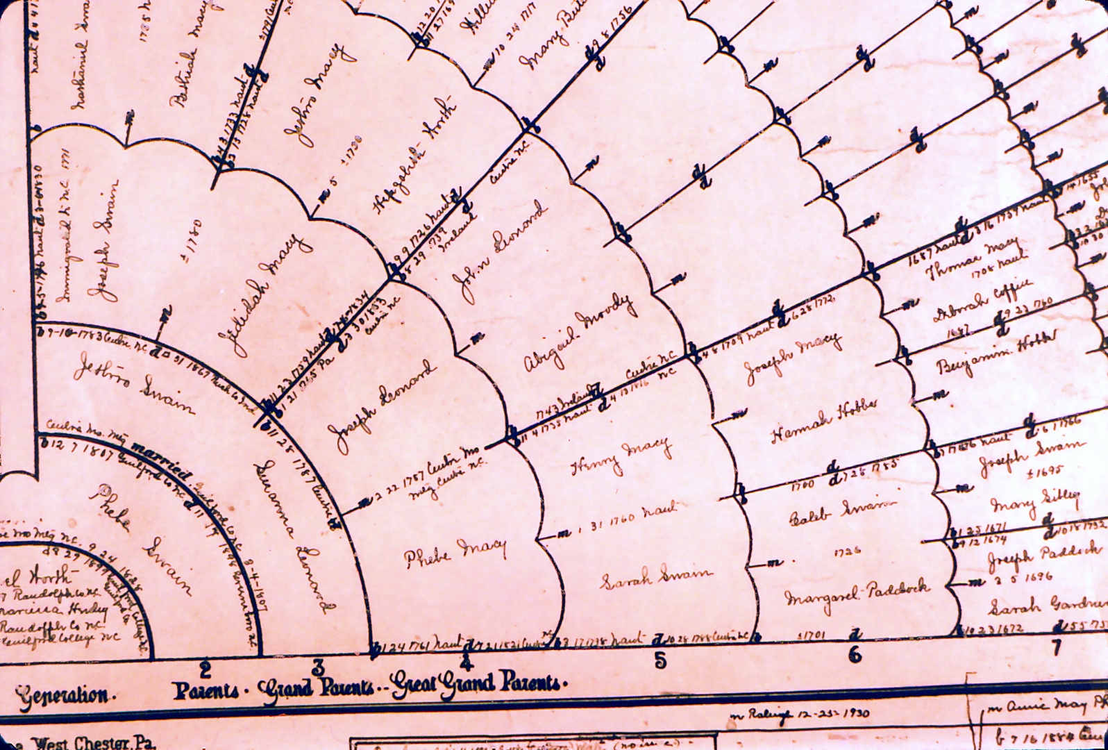 Old Family Tree — Document 8