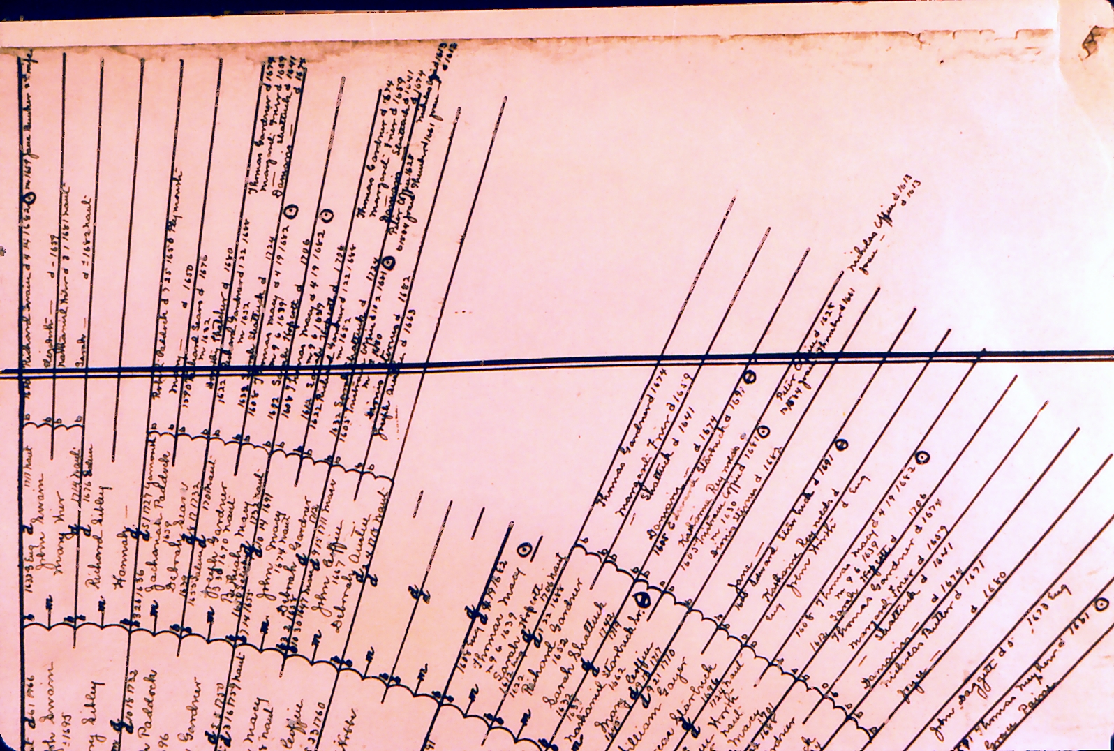 Old Family Tree — Document 10