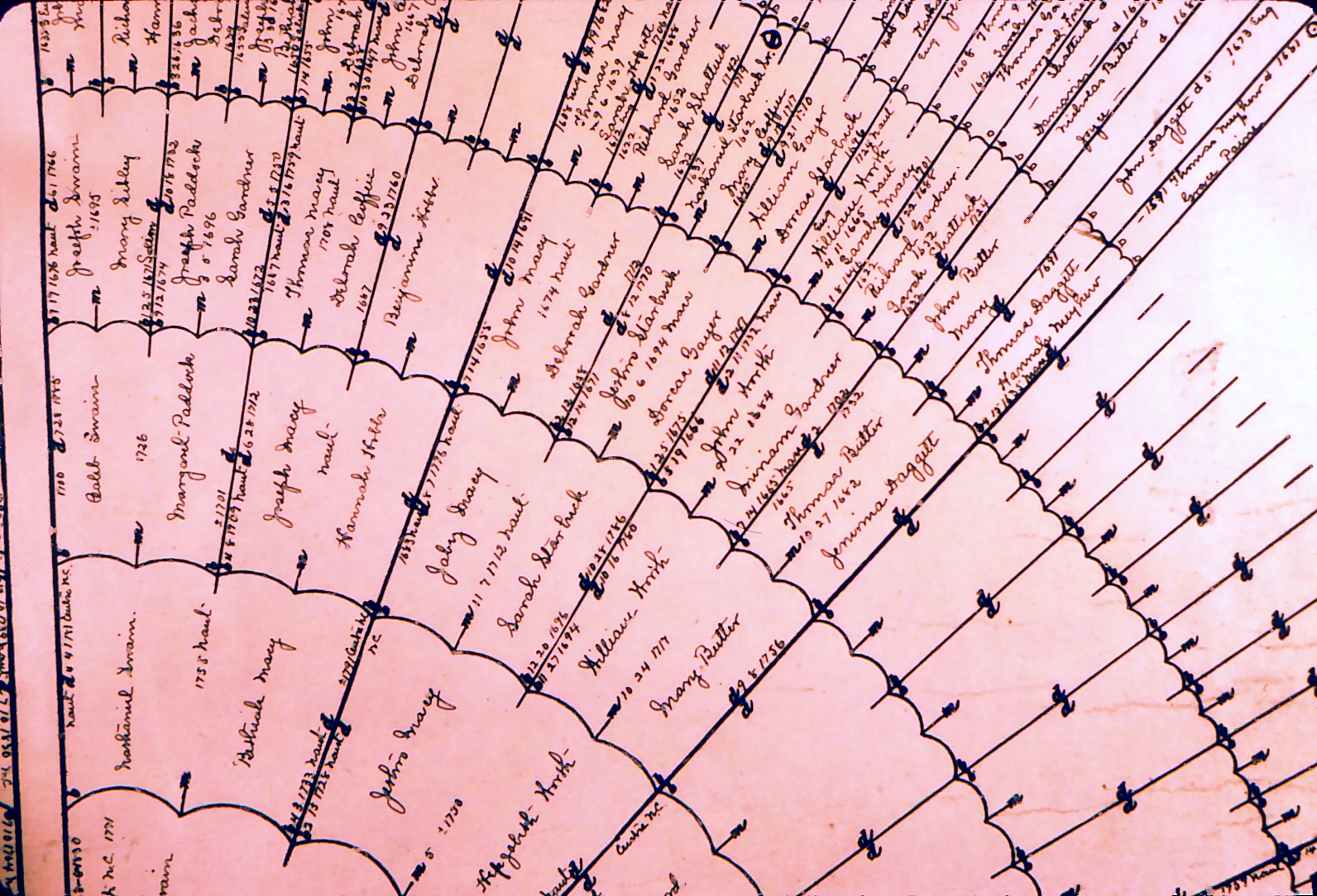 Old Family Tree — Document 11