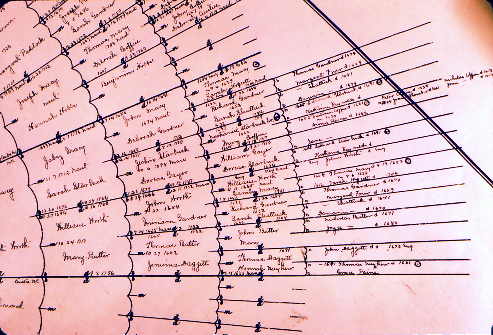 Old Family Tree — Document 12