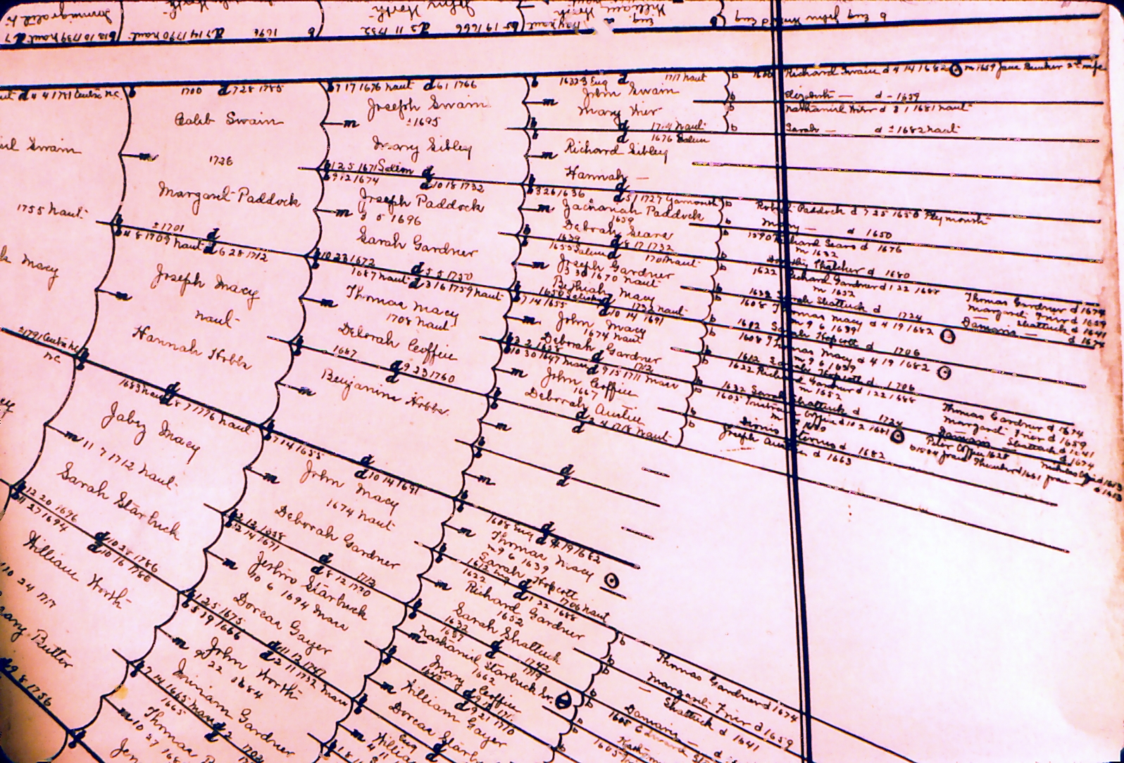 Old Family Tree — Document 13