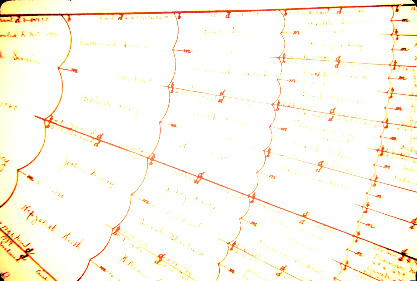 Old Family Tree — Document 14