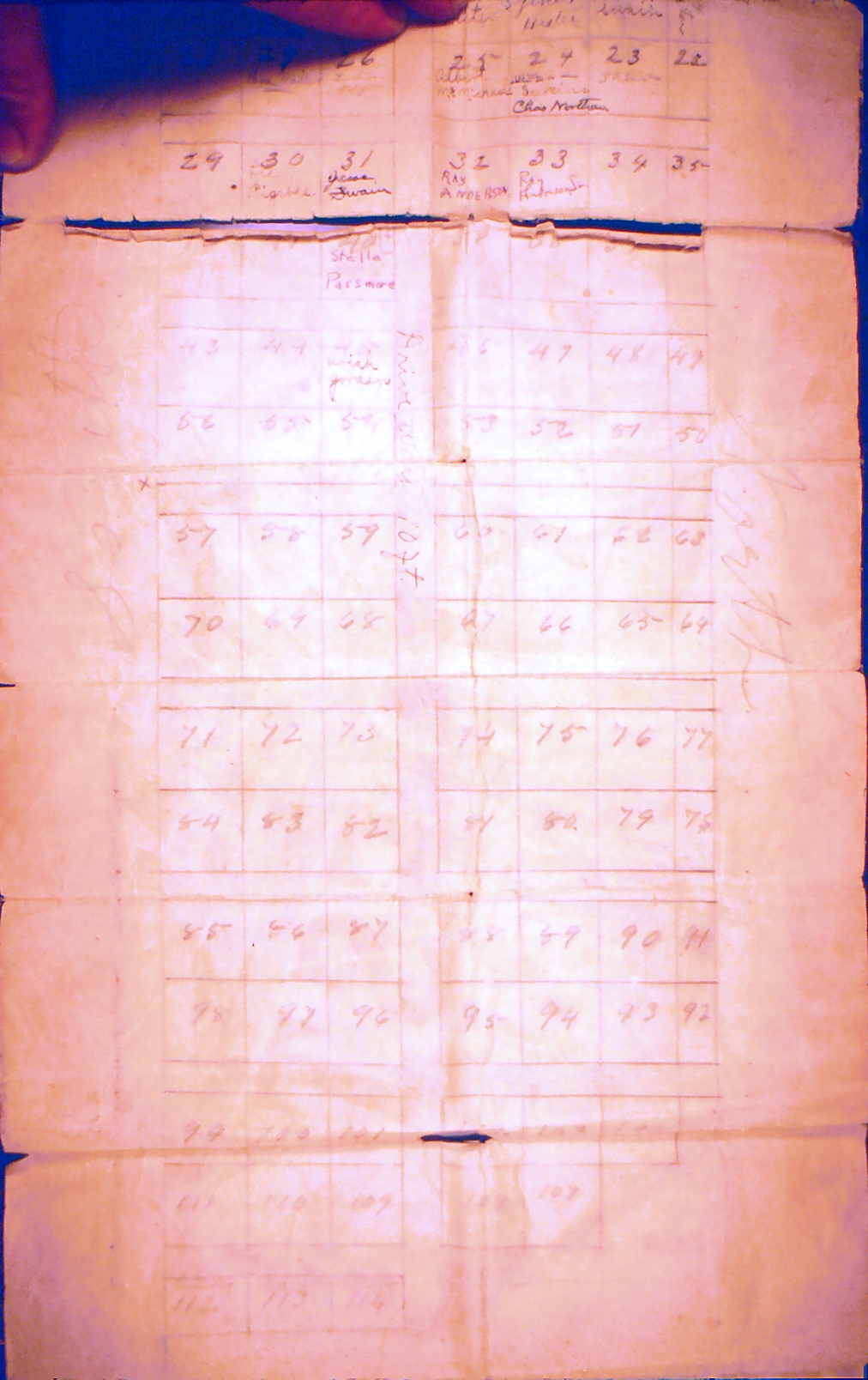 Old Family Tree — Document 15