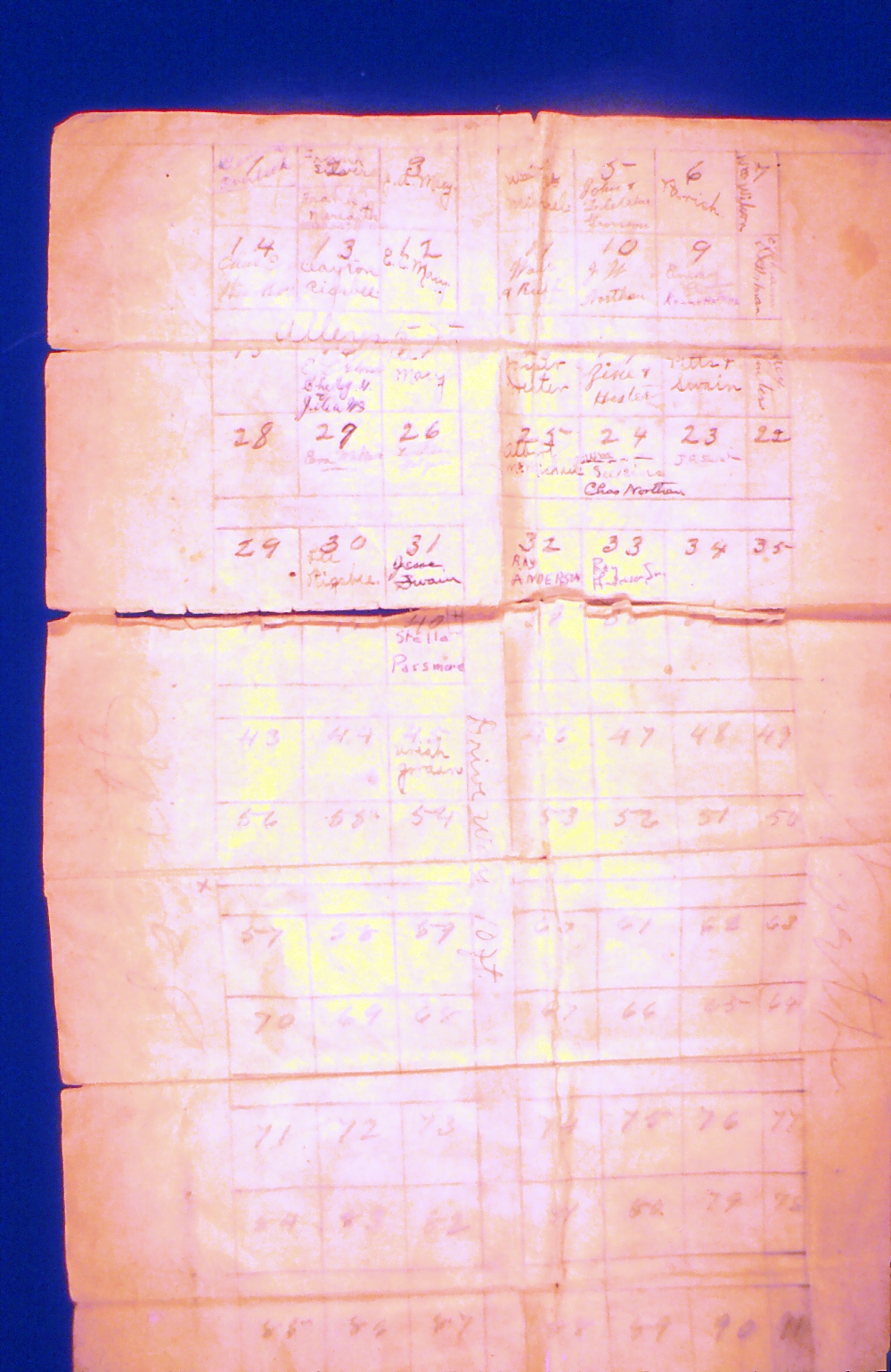 Old Family Tree — Document 16