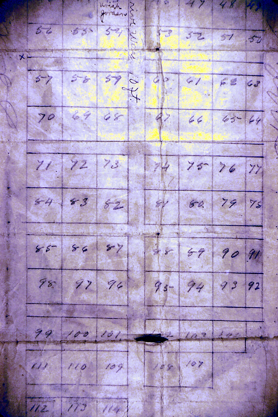 Old Family Tree — Document 17