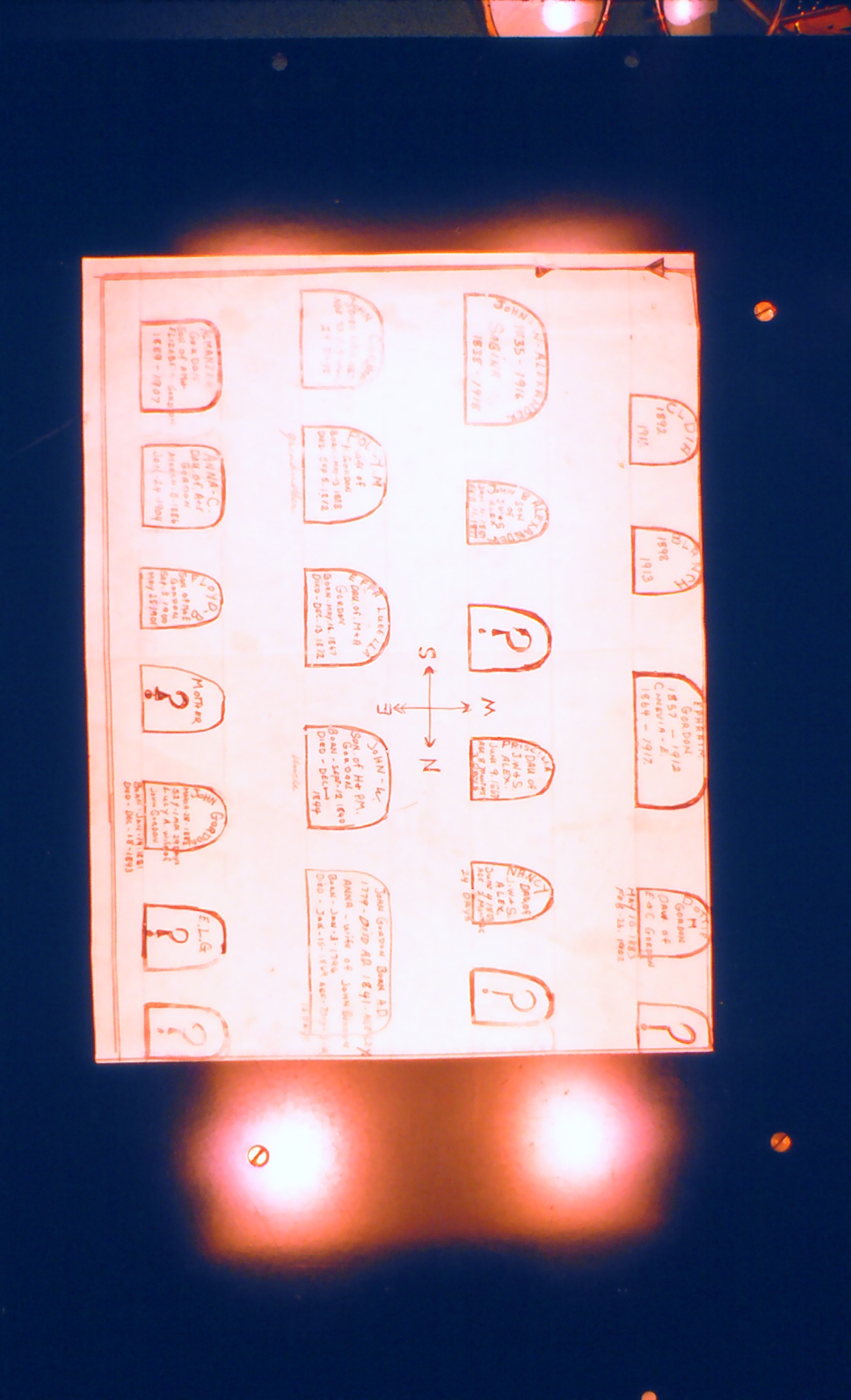Old Family Tree — Document 19