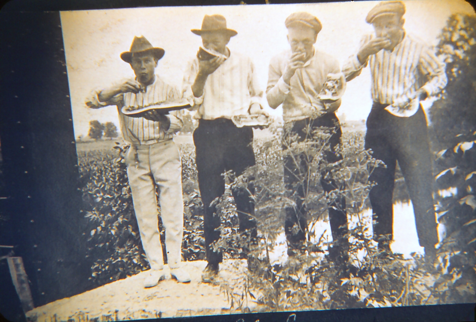 Clarence and friends